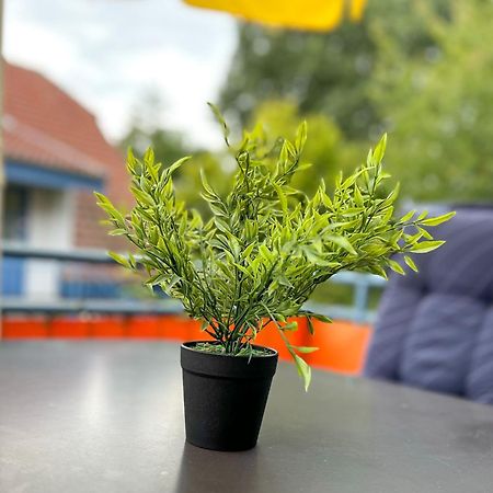 Feriendorf Papillon Wohnung 03-7 Boltenhagen  Dış mekan fotoğraf